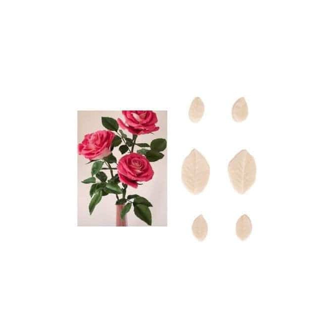 set-6-veineurs-feuilles-de-rose