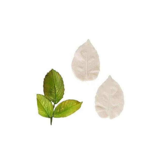 set-de-2-veineurs-grandes-feuilles-de-rose