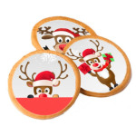 sablés-de-noel-rennes-avec-disque-sucre-decor
