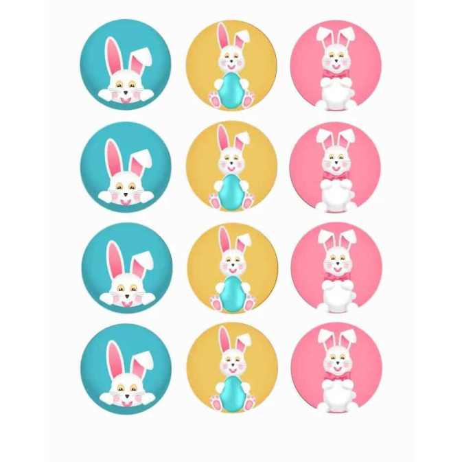 12-mini-disques-en-sucre-lapins-de-pâques