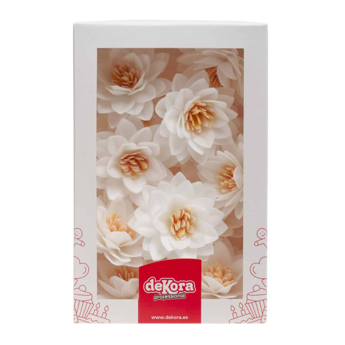 fleurs-de-lotus-blanches-en-azyme