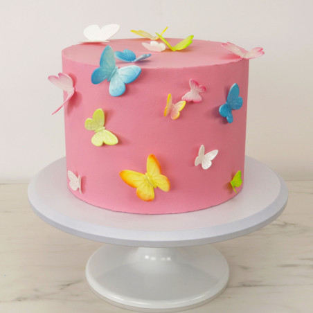 gateau-papillons