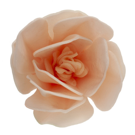 fleur-de-magnolia-en-azyme-deco-de-gateau