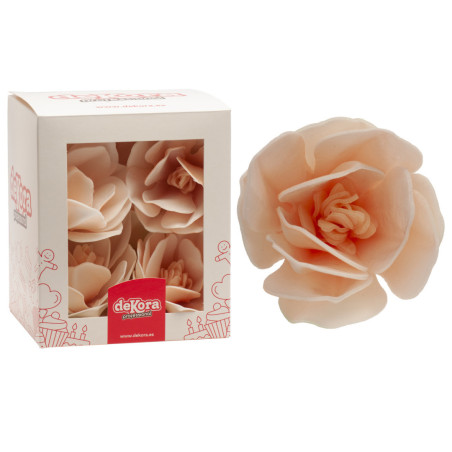magnolia-azyme