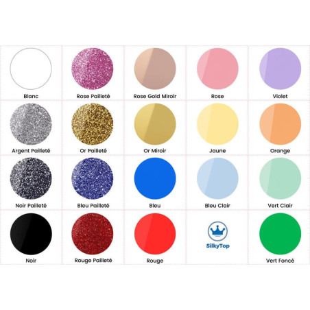 coloris topper bonne annee