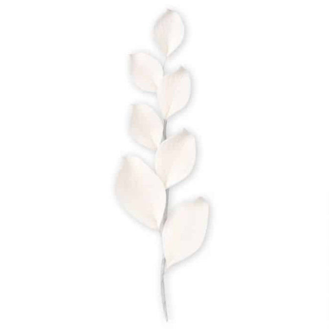 branche-d-eucalyptus-en-pastillage-