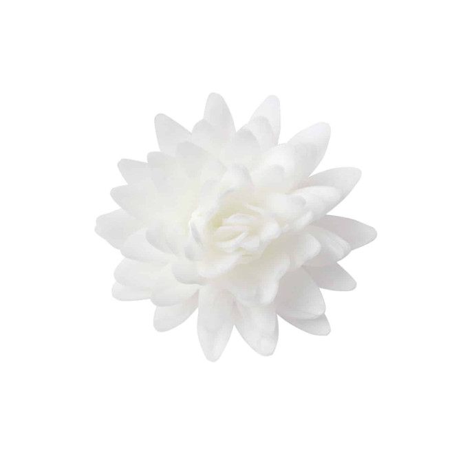 18-fleurs-d-azyme-blanches