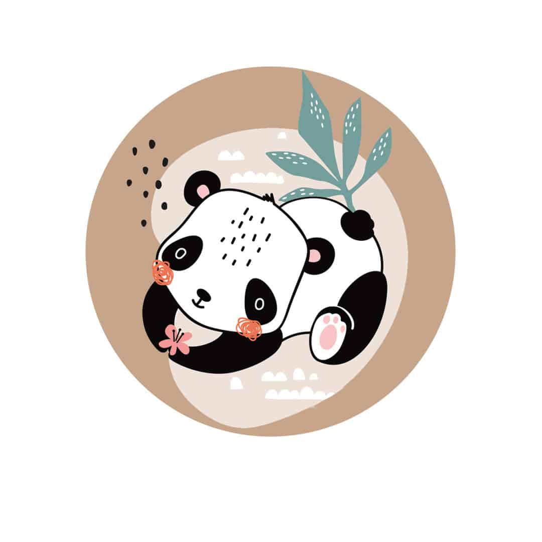 disque-en-sucre-panda