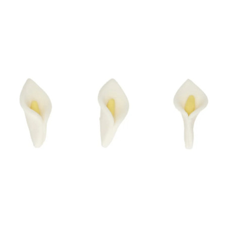 arums-en-sucre