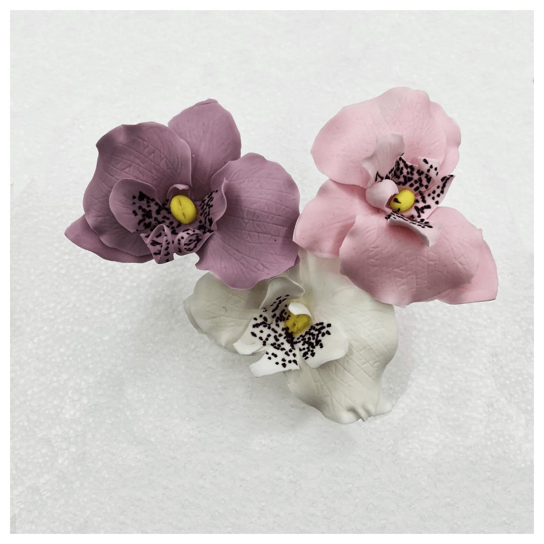 10 Orchidées Comestibles Roses Pour Gâteaux – Fleurs En Sucre Réalistes De 7,5 à 8,5cm – Déco Pâtisserie Sans Gluten