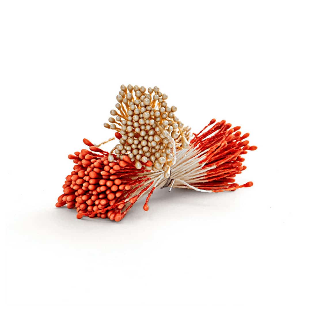 pistils-de-fleurs-blanc-et-orange-nacre
