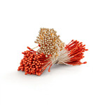 pistils-de-fleurs-blanc-et-orange-nacre