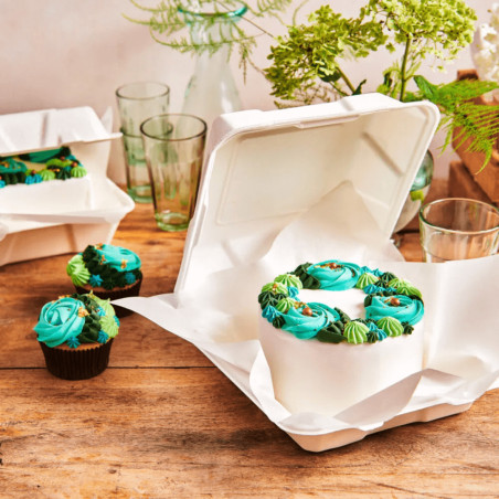 boite bento cake funcakes