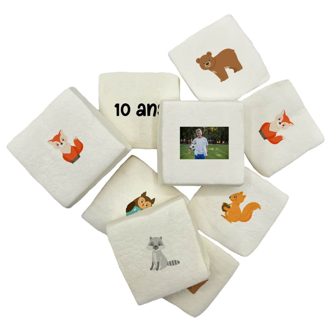 guimauves-animaux-de-la-foret