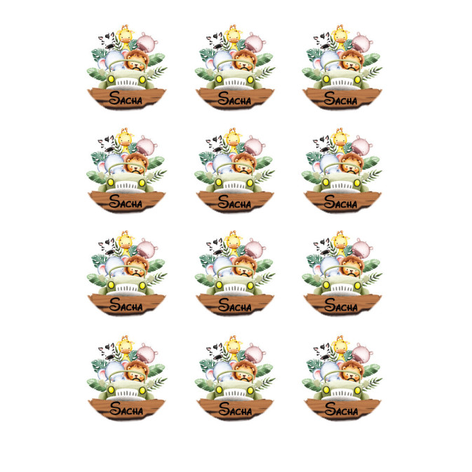 12-mini-disques-en-sucre-safari-explorateur