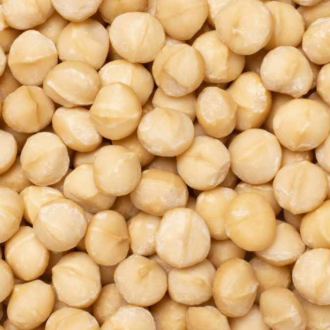 noix de macadamia