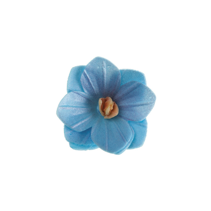18 Fleurs d'azyme bleues