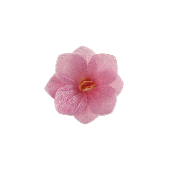 18-fleurs-d-azyme-rose