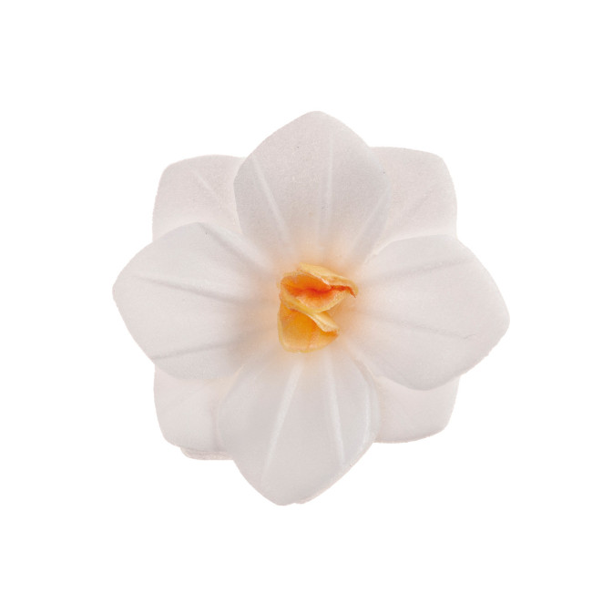 18-fleurs-d-azyme-blanches
