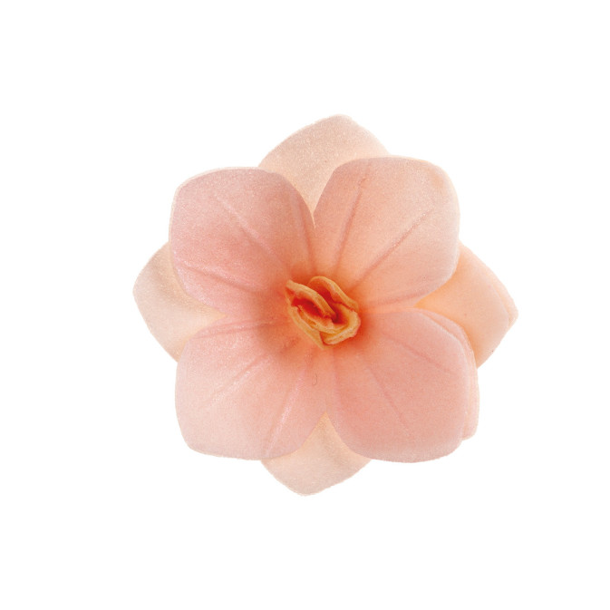 18-fleurs-d-azyme-rose-clair