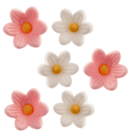 fleurs roses et blanches