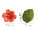 dimensions fleurs rose pastel et feuilles
