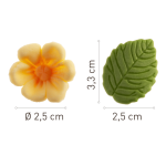 dimension 8 fleurs jaunes et 5 feuilles