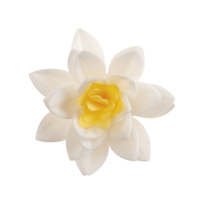 10 fleurs blanches en azyme Dekora