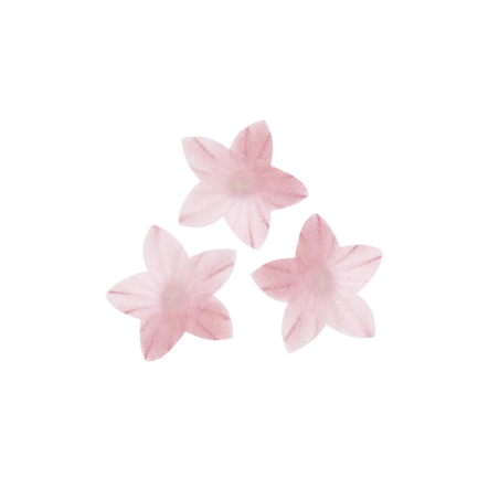 400 fleurs d'azyme roses