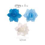 fleurs-azymes-bleues