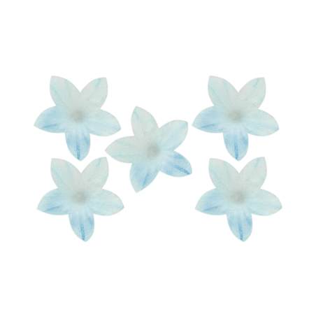 decoration-azyme-gateau-fleurs-bleues-dekora