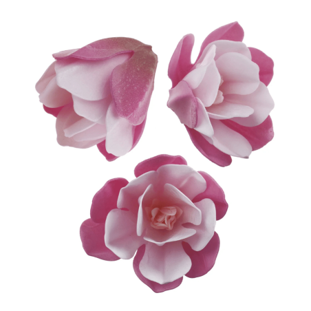 6-magnolias-roses-en-azyme