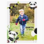 Photo-comestible-A4-panda