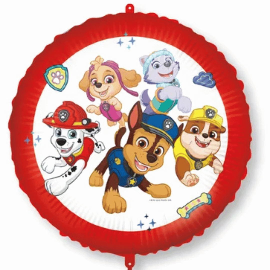 ballon aluminium pat patrouille 46 cm