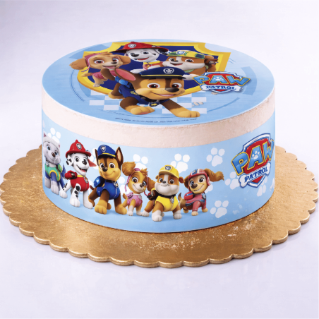 gateau-paw-patrol-decore