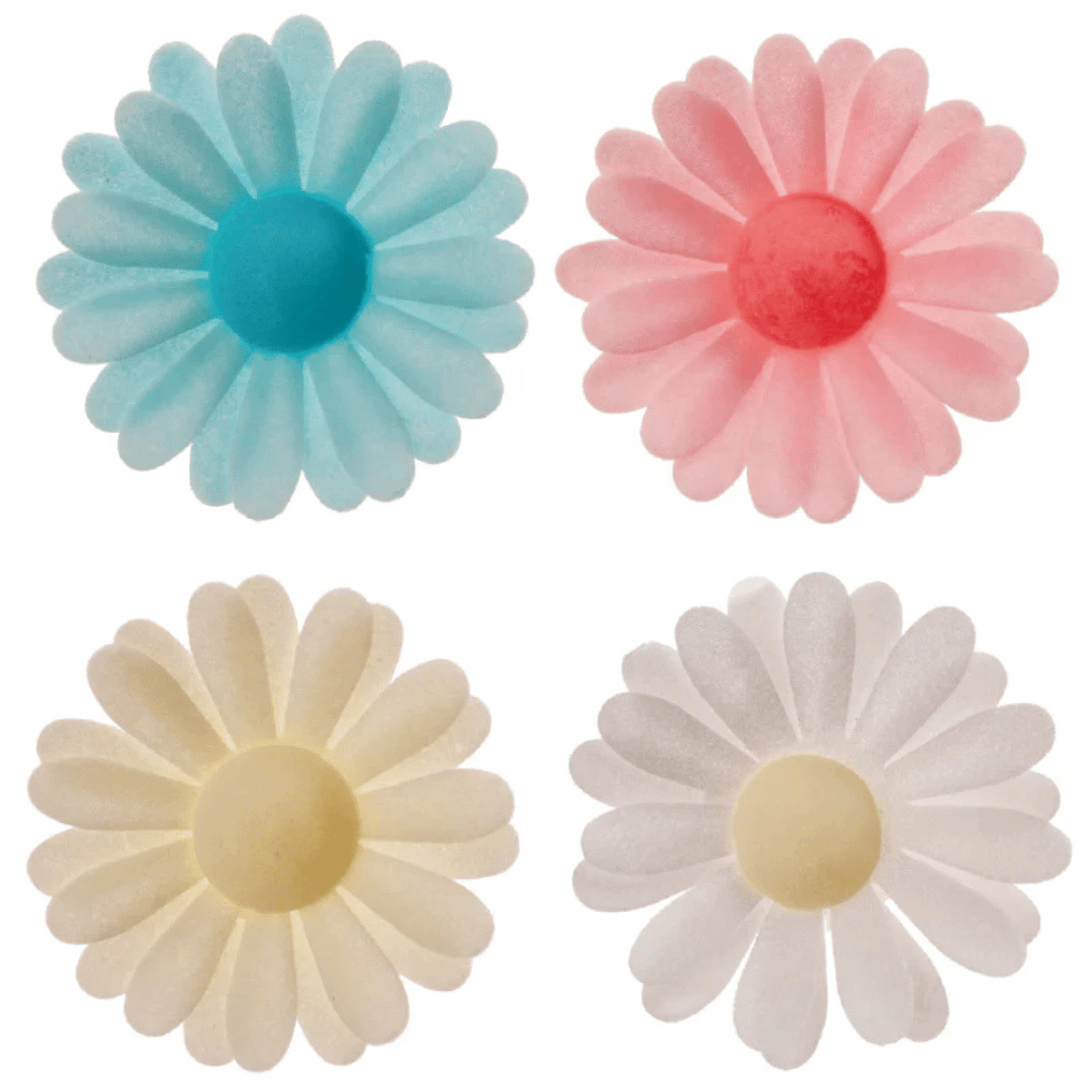 150-fleurs-azyme-marguerite