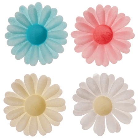 150-fleurs-azyme-marguerite