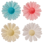 150-fleurs-azyme-marguerite