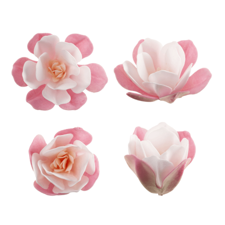 fleurs-de-magnolia-rose-en-azyme