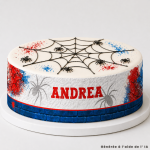 gateau-spiderman-personnalisable-avec-contour