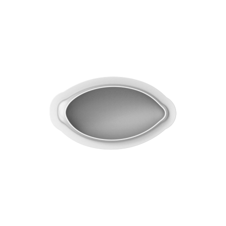moule trompe l oeil citron silicone
