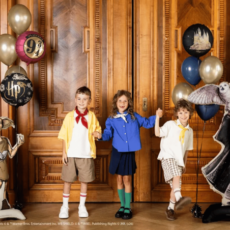 deco anniversaire enfant harry potter