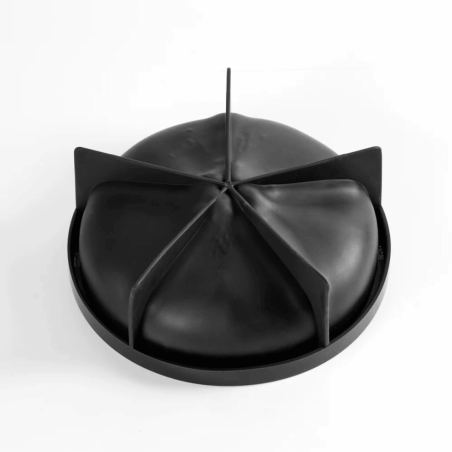 moule trompe l oeil citron - Pavoni et Cedric Grolet
