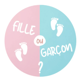 Gender reveal : tout pour une décoration de fête réussie